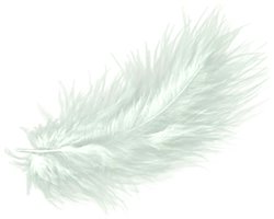 Браво Набор перьев. Белые 172001 30 шт