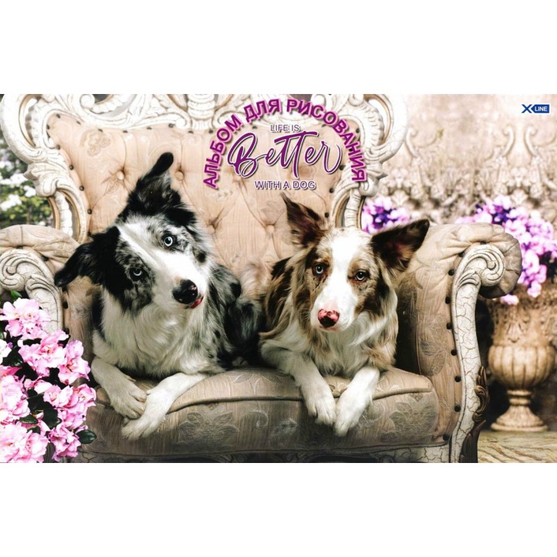 Альбом для рисования 16 листов скоба Собаки с цветами АР4ск16 6583
