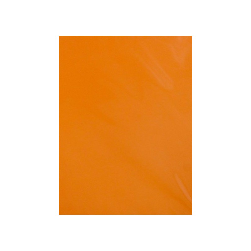 Бумага цветная А4 10 листов тонированная Оранжевая С3036-09 (уни)