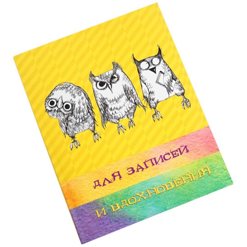 Книга для записей А5 96 листов твердая обложка Paper Art. Три совы ЕТИ596134