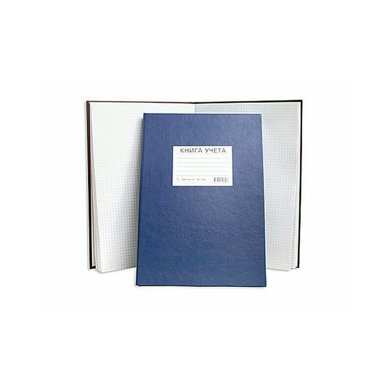 Книга учета амбарная А4 100 листов лин. бумвинил М-823