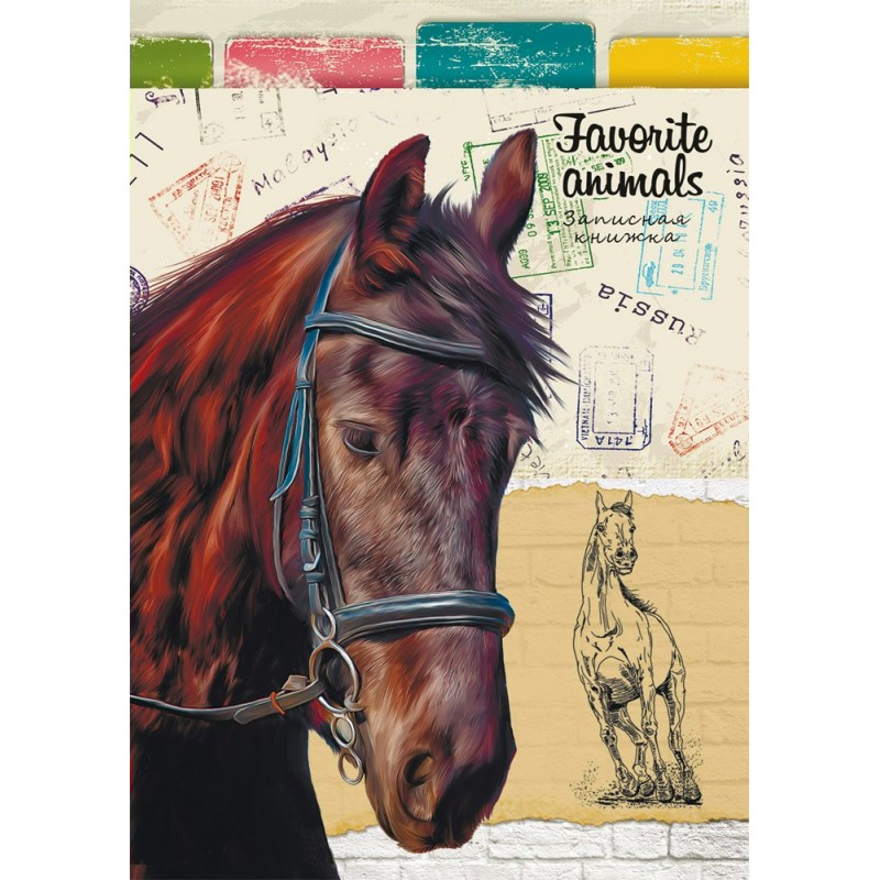 Обложка лошади. Обложка лошадь. Фотоальбом с лошадьми обложка. Постеры на весь лист с лошадьми.