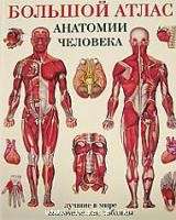 Большой атлас анатомии человека тв