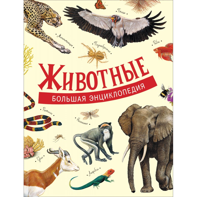 Большая энциклопедия Животные Литвинова (2020)