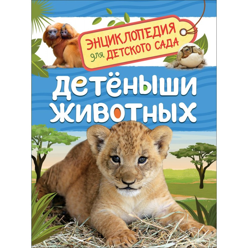 Энциклопедия для детского сада Детеныши животных Клюшник (2020)