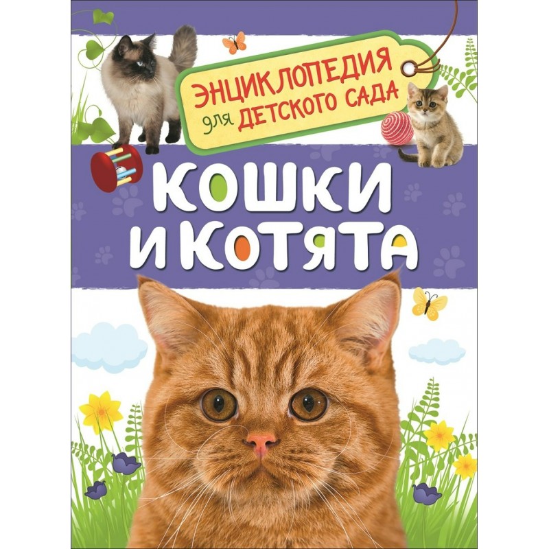 Энциклопедия для детского сада Кошки и котята Мигунова (2019)