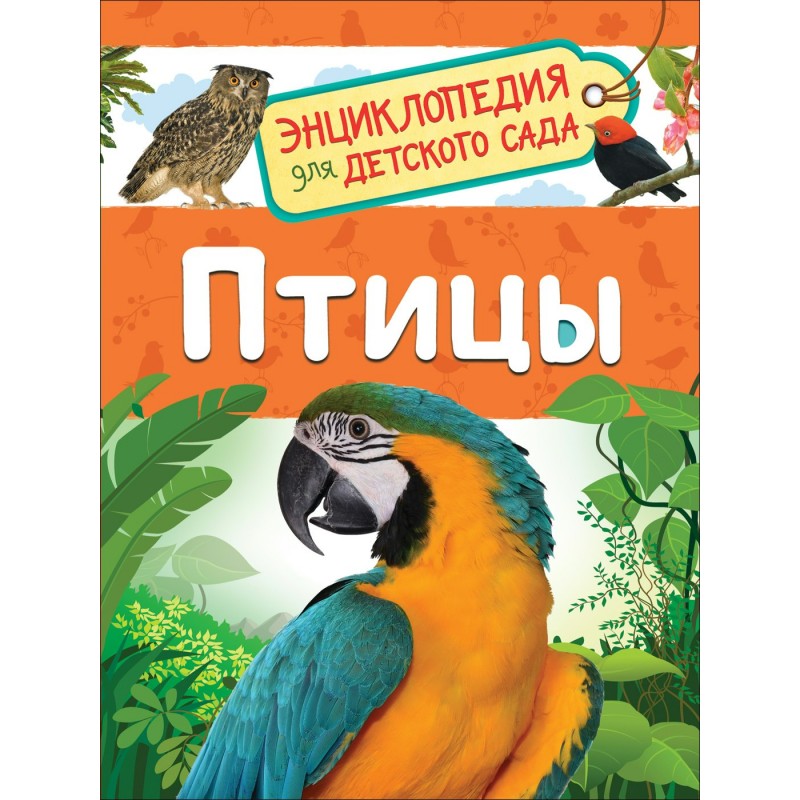 Энциклопедия для детского сада Птицы Гальцева (2020)