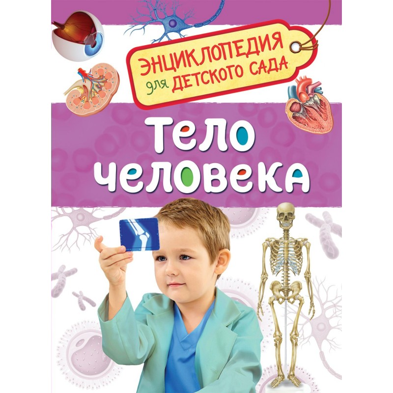 Энциклопедия для детского сада Тело человека Клюшник (2020)