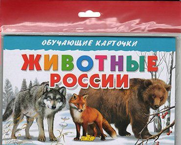 Животные России 2019