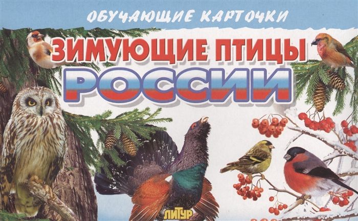 Зимующие птицы России: Обучающие карточки 2020