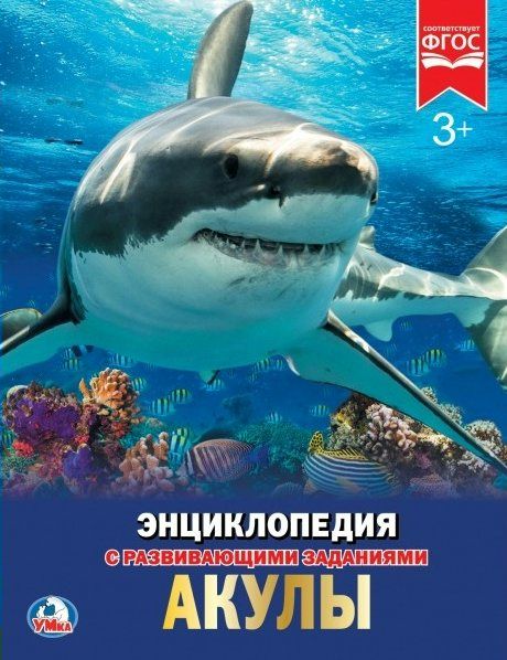 Акулы | Бабенко В.Г., Алексеев В.Н.