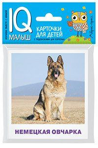 Умный малыш Породы собак Набор карточек для детей Малунова (2018)