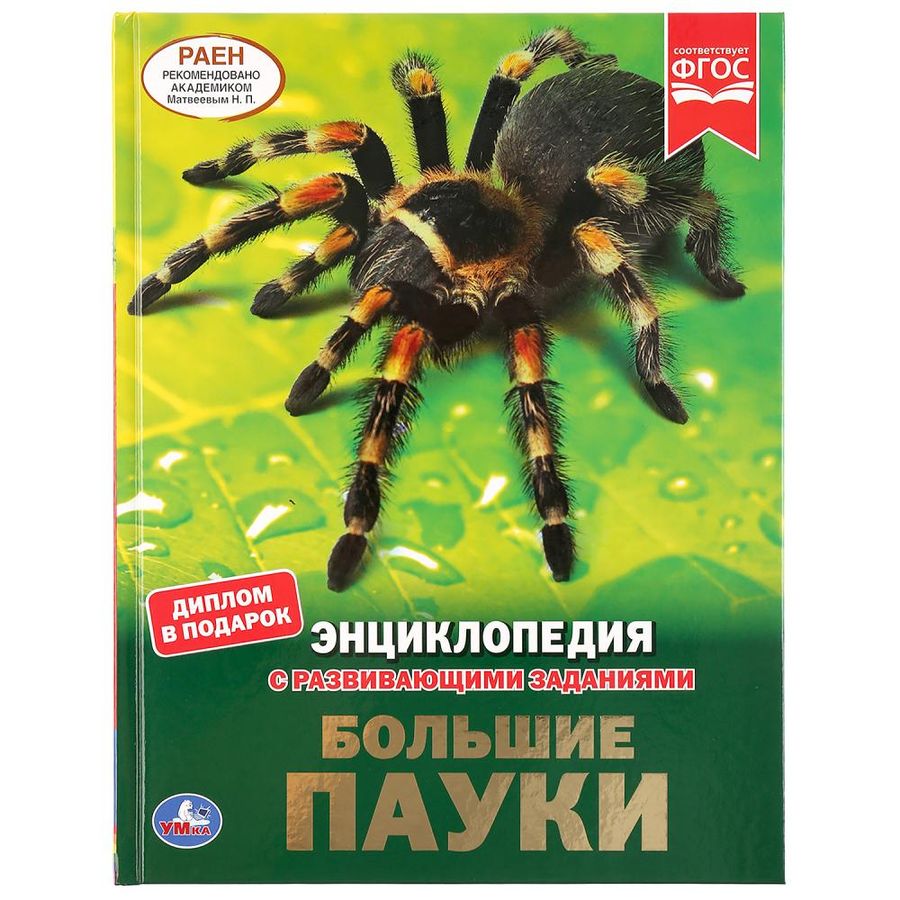 Большие пауки | Павлинов И.Я.