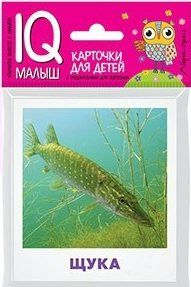 Пресноводные рыбы: Карточек для детей с подсказками для взрослых | Малунова М.В.