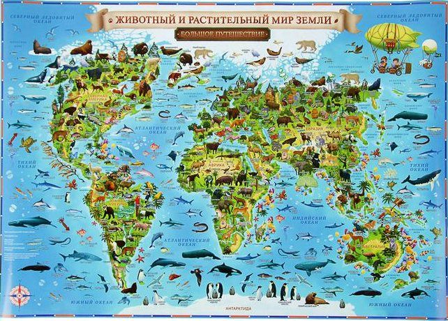 Карта Мира для детей "Животный и растительный мир", 60х40, КН005