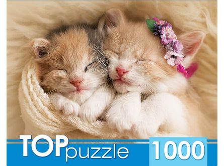 Toppuzzle. Два спящих котенка