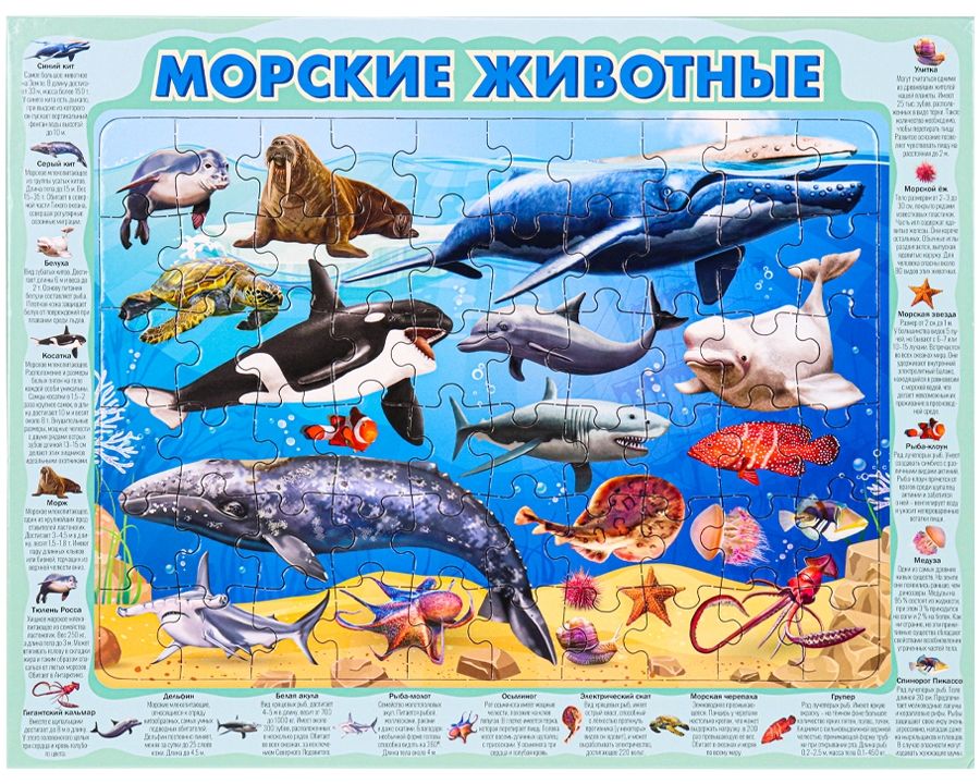 Пазл-рамка "Морские животные"