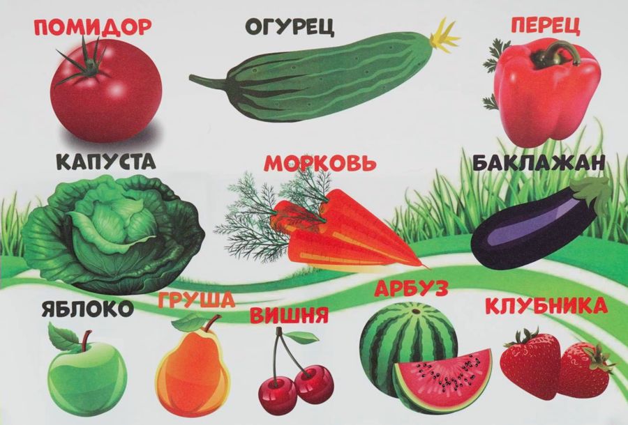 Подкладка для письма и лепки детская А4 Фрукты, овощи ПЧЕЛКА НПД-1 (уни)