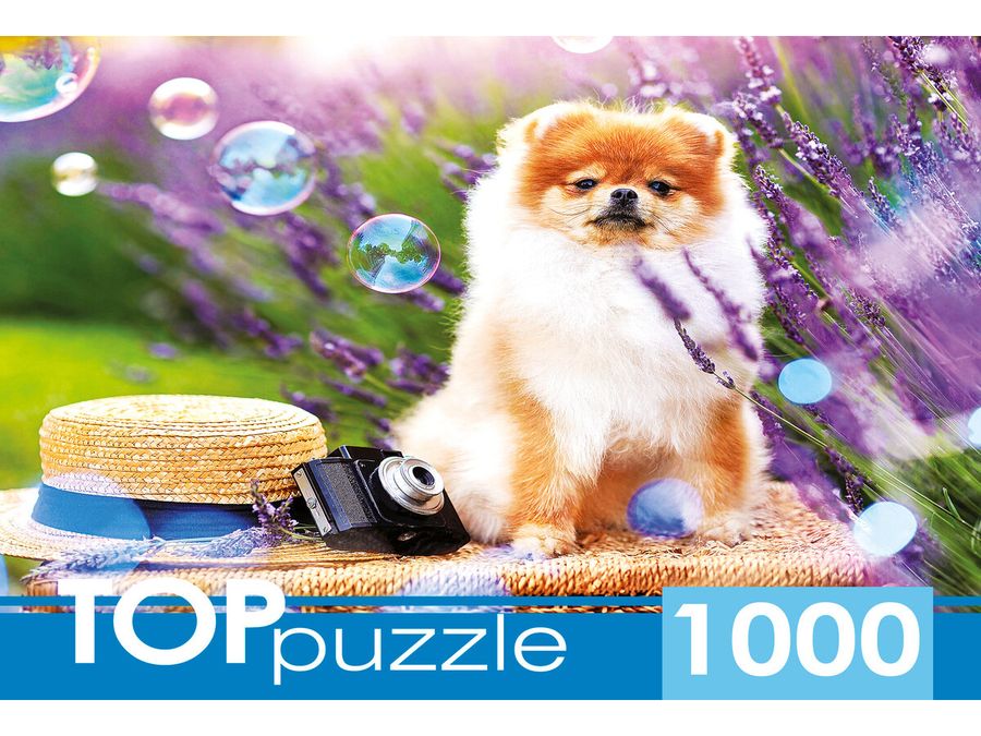 Пазлы 1000 элементов Шпиц в саду TOPpuzzle ШТТП1000-9859