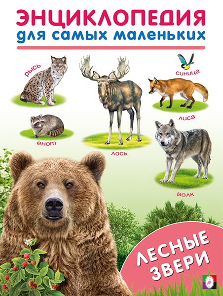Лесные звери. Энциклопедия для самых маленьких | Автор не указан