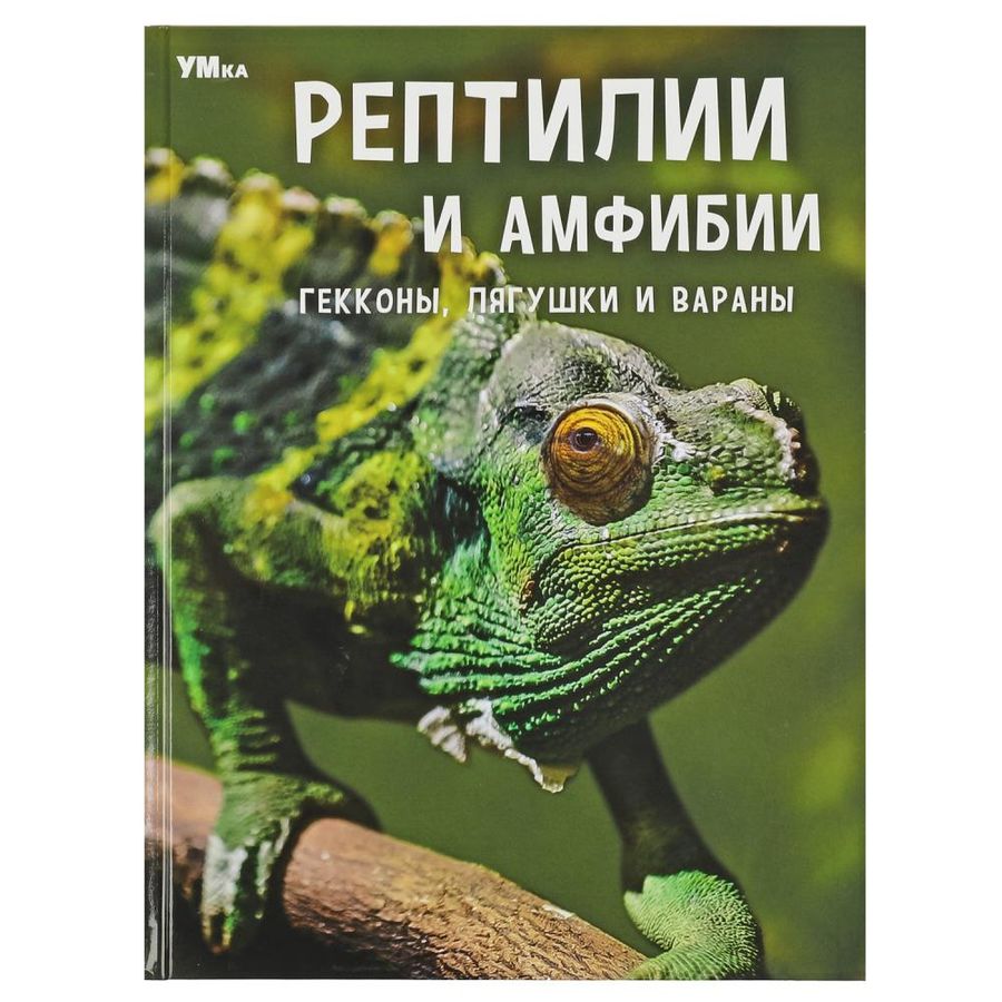 Рептилии и амфибии. Гекконы, лягушки и вараны | Алексеев В.Н.