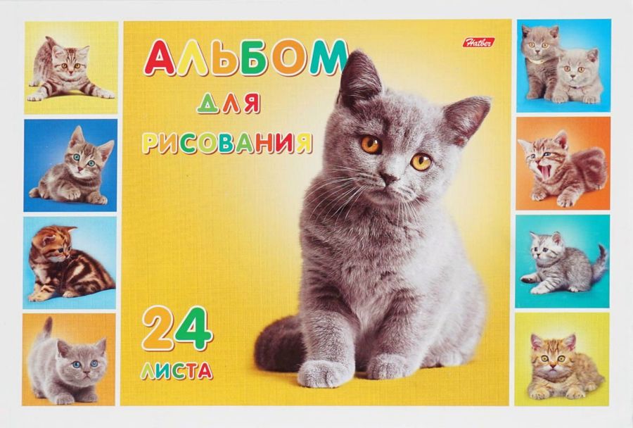 Альбом для рисования 24л спираль Милые котята перфорация HATBER 24А4Всп (уни)