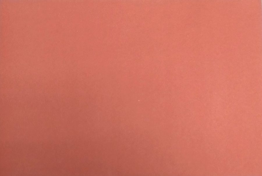 Картон цветной А4 Ладога 220г/м2 оранжевый 512245