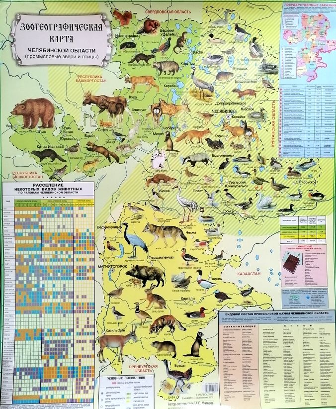 Карта Зоогеографическая Челябинской области Промысловые звери и птицы 90х110см ламинация АБРИС