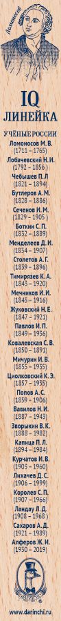 Линейка деревянная сувенирная 30см IQ Ученые России Даринчи 4627145883518