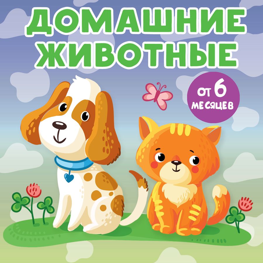 Домашние животные | Игнатова А.С.