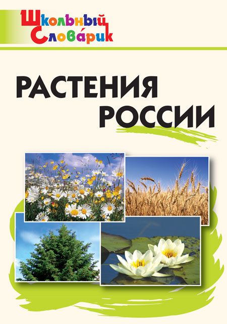 Растения России 2024 | Васильева Н.Ю.