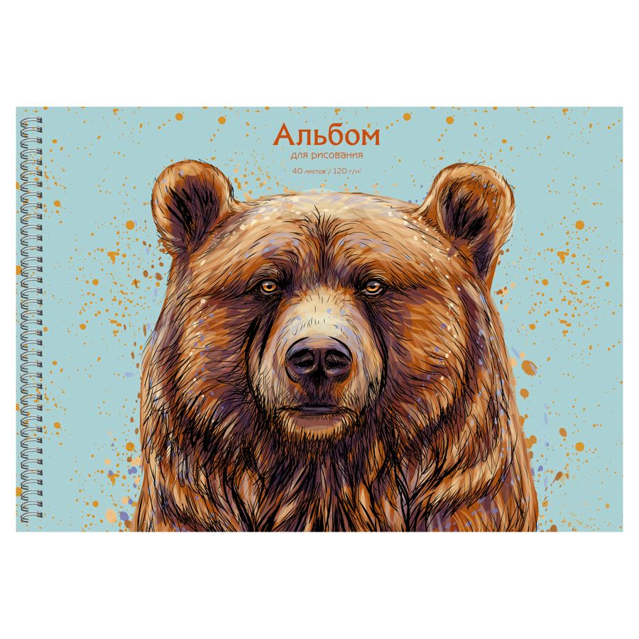 Альбом для рисования А4 40л гребень Медведь мат.лам. выб.лак 110г/м2 Listoff АСЛ402423 (уни)