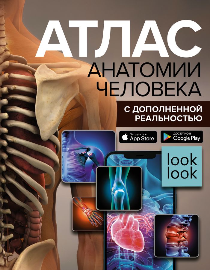 Атлас анатомии человека с дополненной реальностью | Спектор А.А.