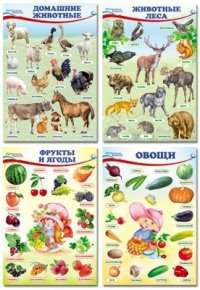 Комплект плакатов Истоки знаний Домашние животные.Животные леса.Фрукты и ягоды.Овощи 4 шт