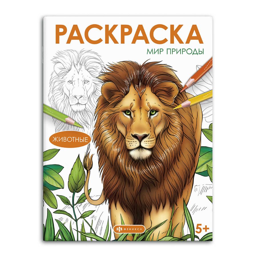 Мир природы Книжка-раскраска для детей Животные  | Автор не указан