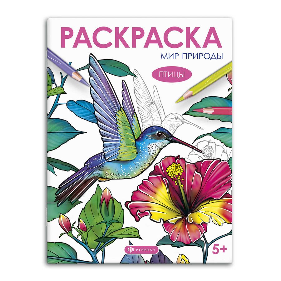 Мир природы Книжка-раскраска для детей Птицы  | Автор не указан
