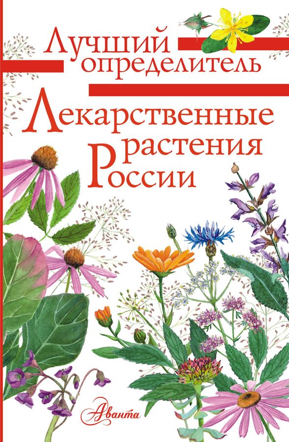 Лекарственные растения России | Филин А.Н.