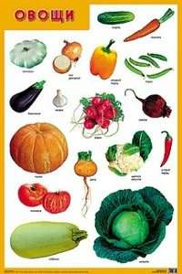 Плакат Овощи А2